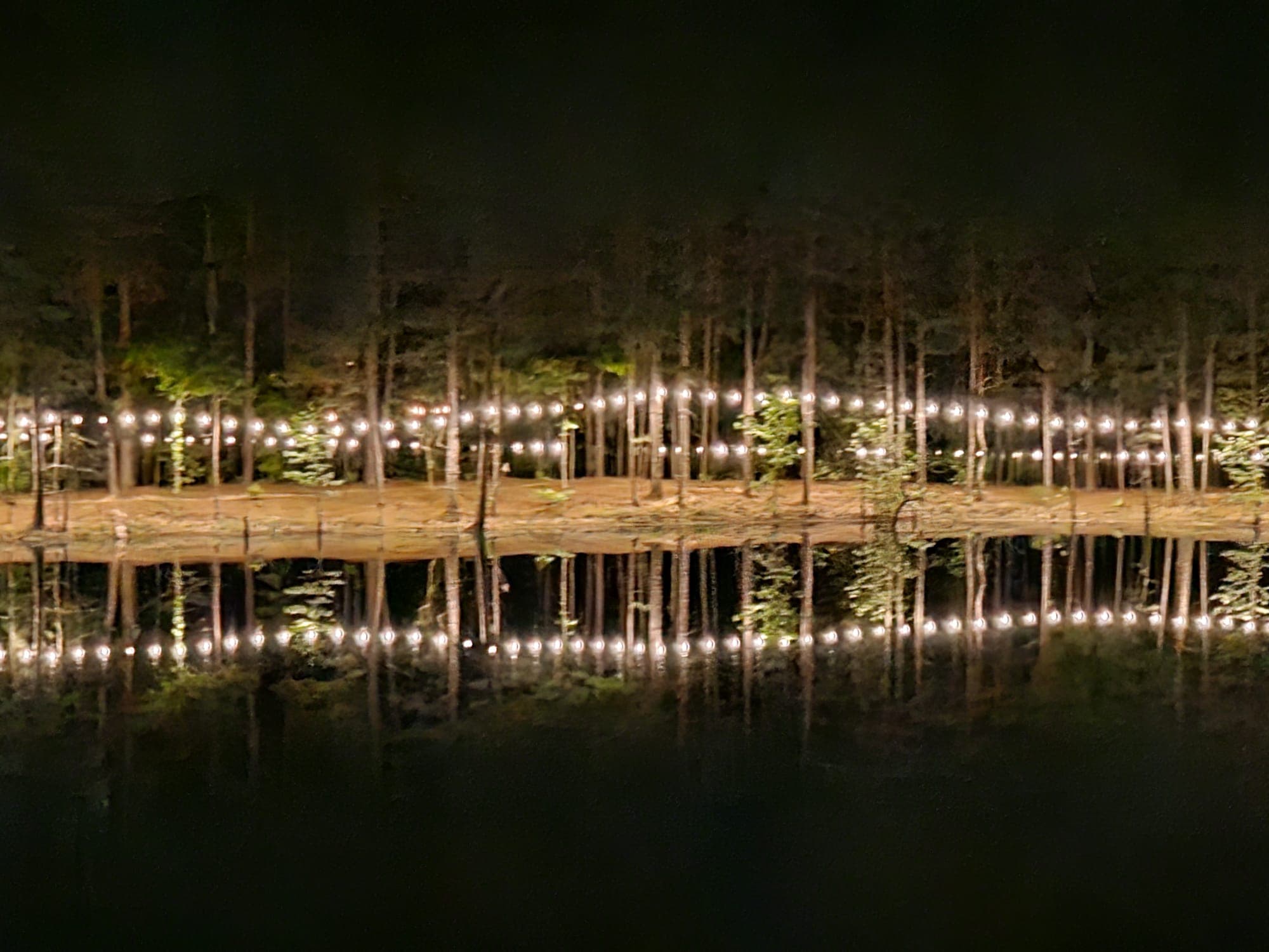 Lake with string lights reflection